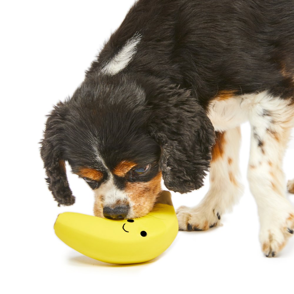 Foodie Faces Latex Banana Dog Toy