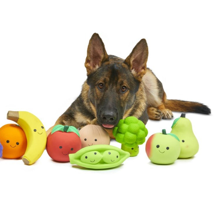 Foodie Faces Latex Broccoli Dog Toy