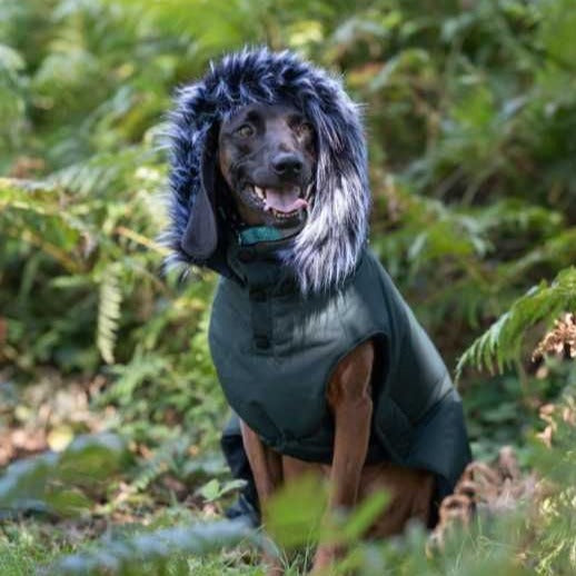 Rukka Frostbiter Parka Coat for Dogs in Forest