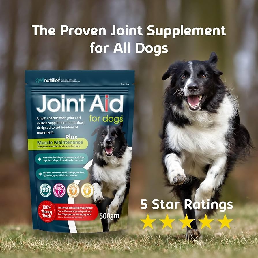 Join Aid Joint Aid for Dogs | Joint Care Supplement | DOGHOUSE