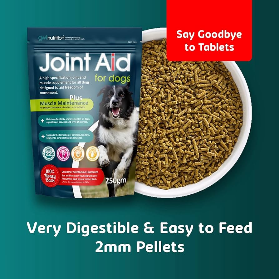 Join Aid Joint Aid for Dogs | Joint Care Supplement | DOGHOUSE