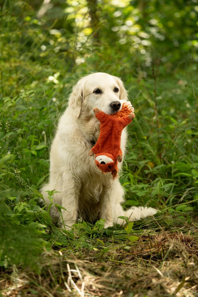 Saffia Squirrel Crinkle Toy