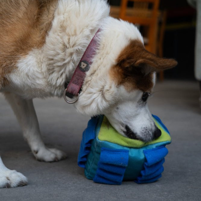Fabric Snuffle Triangle Puzzle Toy