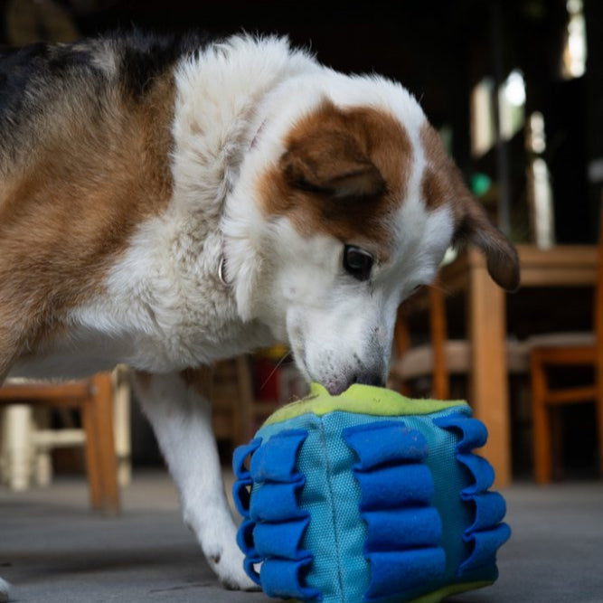 Fabric Snuffle Triangle Puzzle Toy
