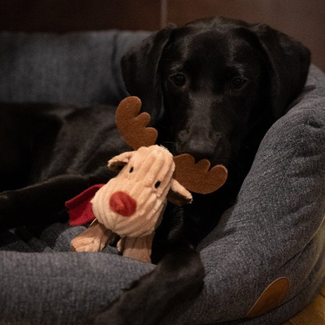 Petface Reindeer Cord Christmas Toy