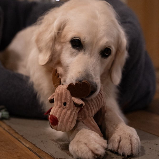 Petface Reindeer Cord Christmas Toy