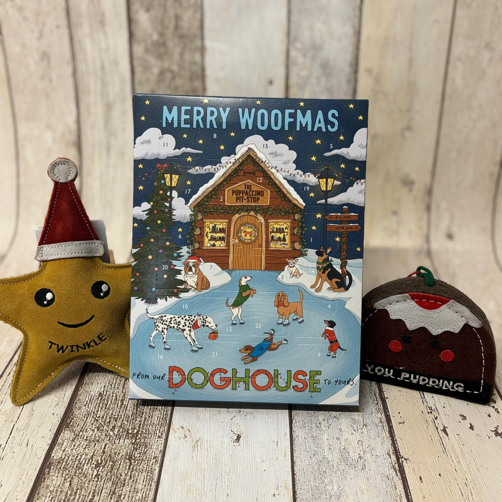 Best Dog Advent Calendar 