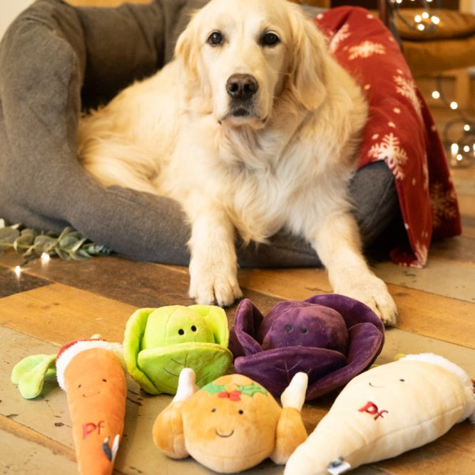 Petface Christmas Roast Toys