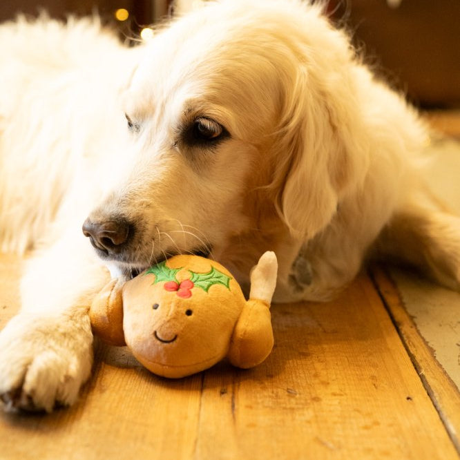 Petface Tasha Turkey Plush Christmas Toy