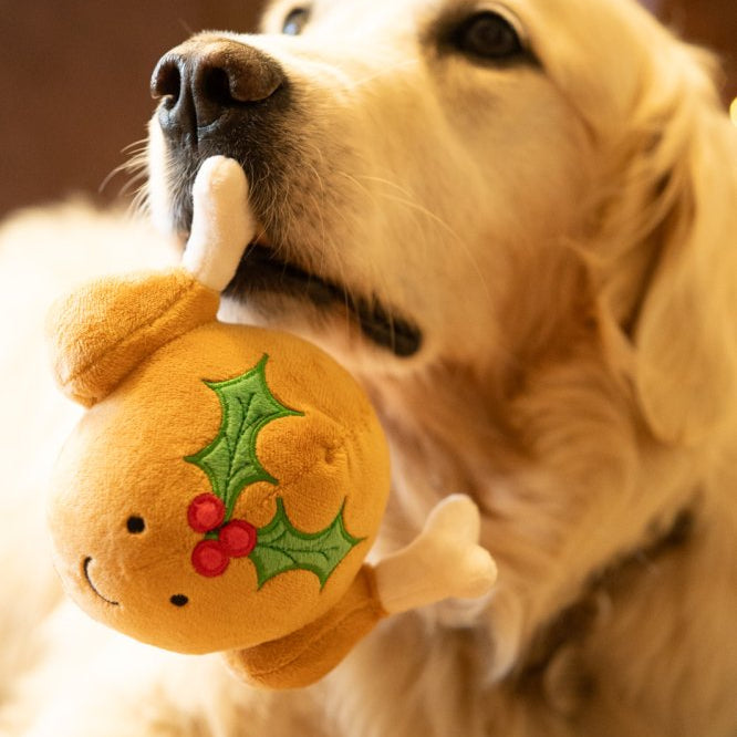 Petface Tasha Turkey Plush Christmas Toy