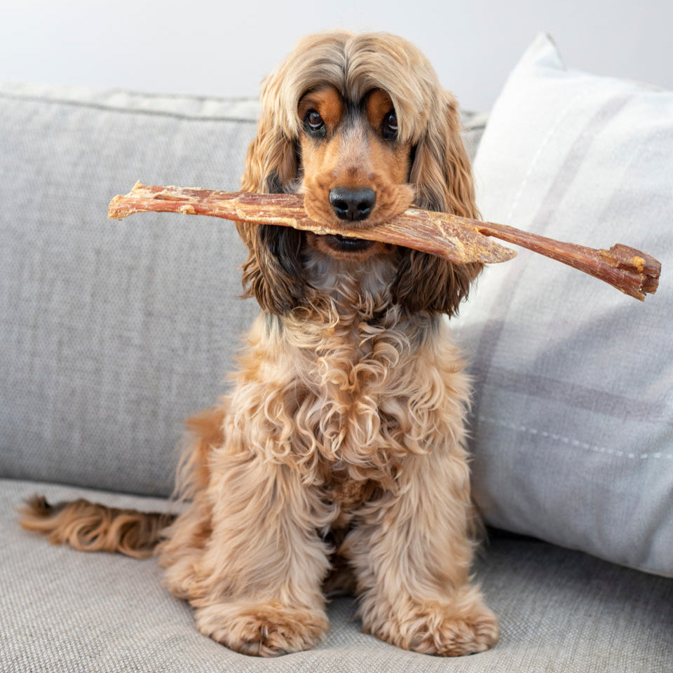 Anco Giant Paddywack Stick for Dogs