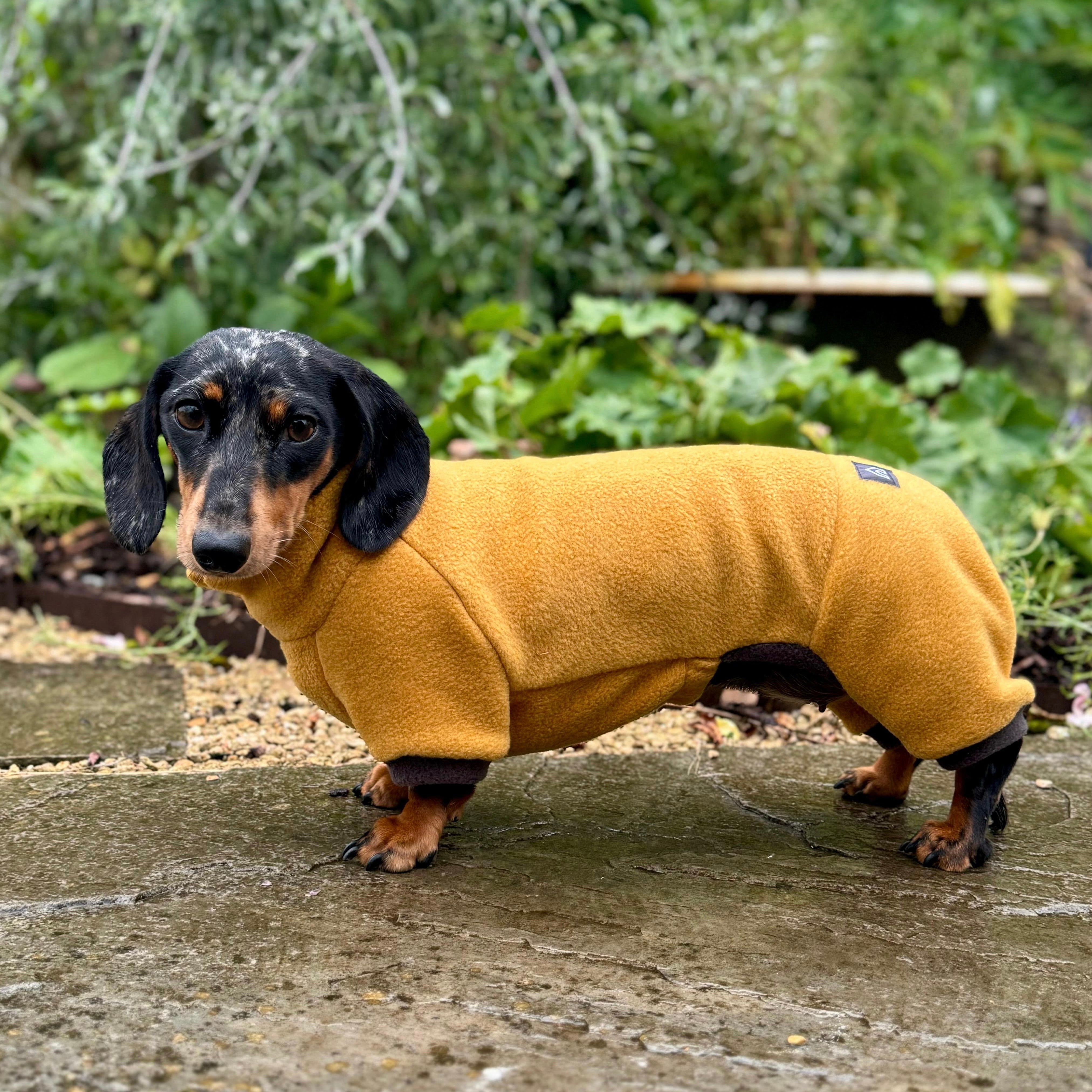 Miniature Dachshund Clothes Sweaters Made For Dachshunds KNITTING