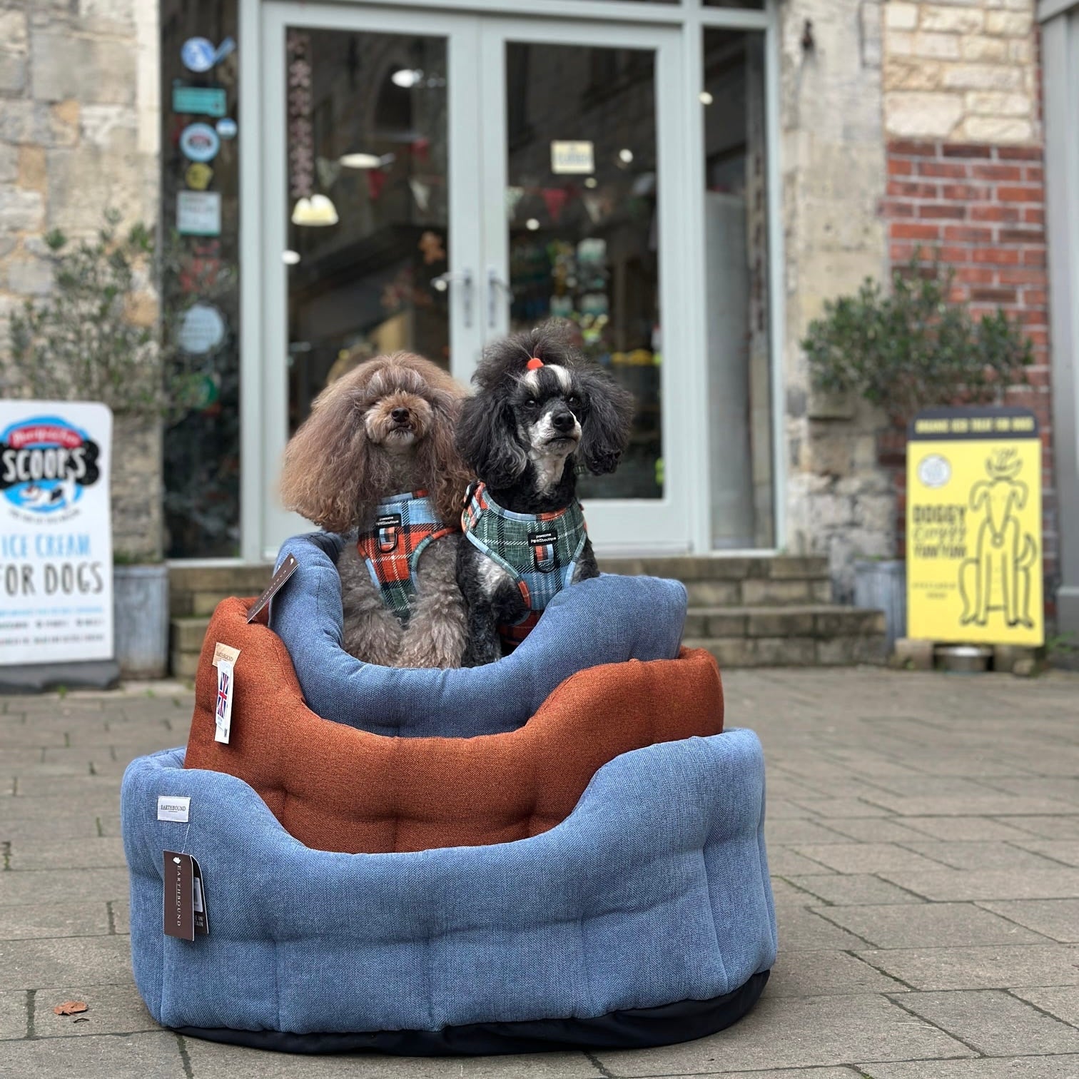 Earthbound Camden Burnt Orange Dog Bed – DOGHOUSE