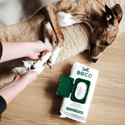 Beco Bamboo Dog Wipes | Coconut Scented