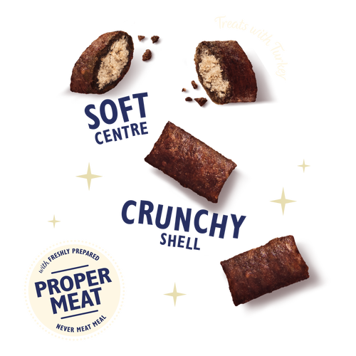 Lily's Kitchen Christmas Turkey Pillow Cat Treats