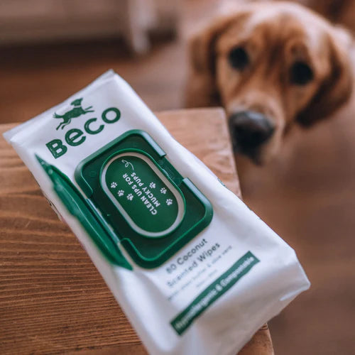 Beco Bamboo Dog Wipes Coconut Scented DOGHOUSE