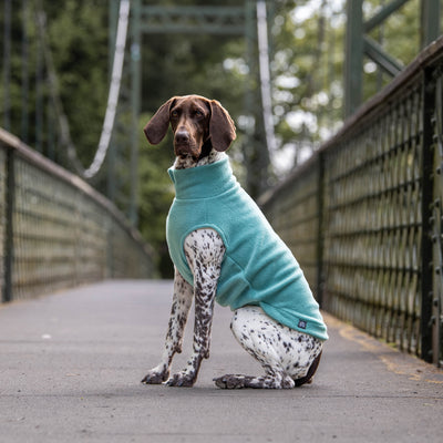 Large Breed Dog Fleece Jumper