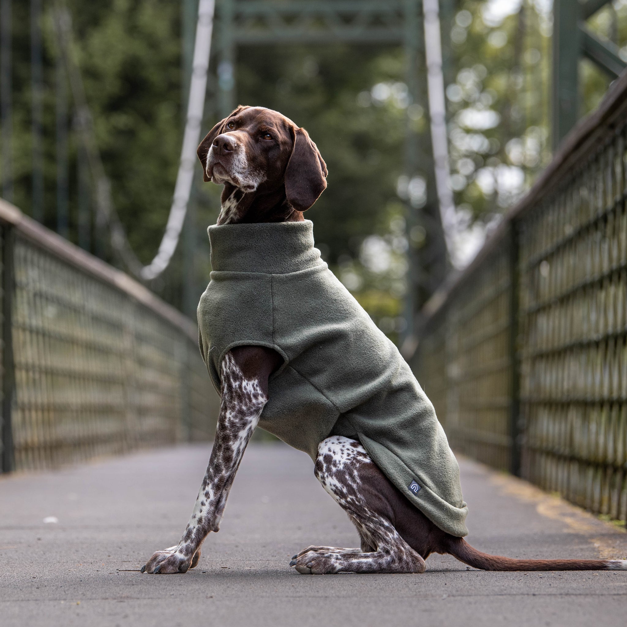 Large Breed Vizsla Fleece Jumper | Doghouse Fleeces