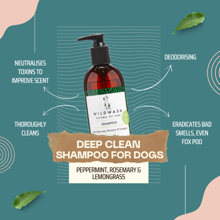 WildWash Pro Shampoo for Deep Cleaning & Deodorising