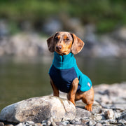 waterproof dachshund jumper