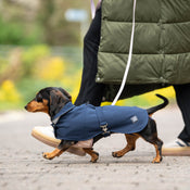 Doghouse Dachshund Waterproof Coat
