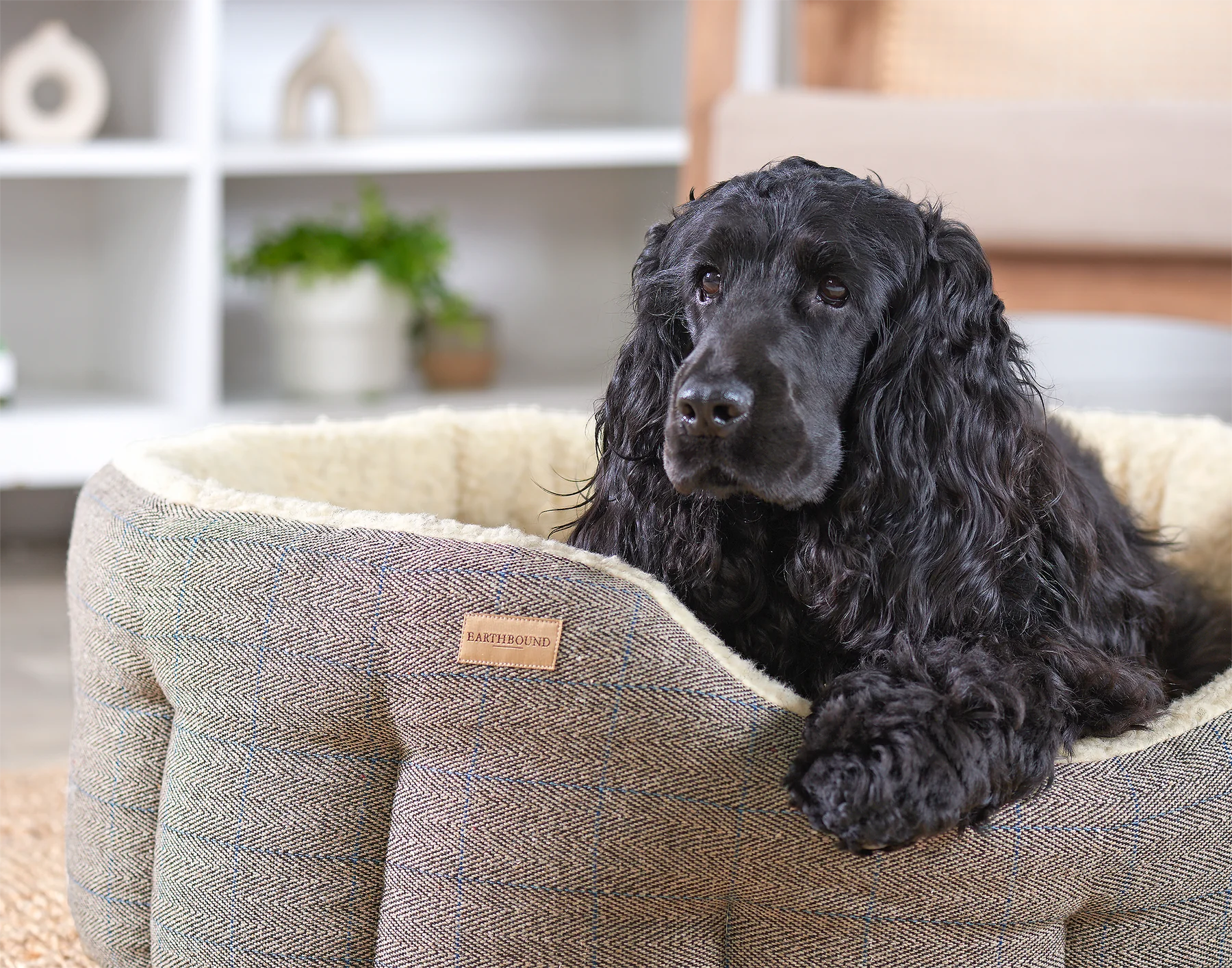 Traditional Tweed Snuggle Dog Beds Made in the UK EARTHBOUND