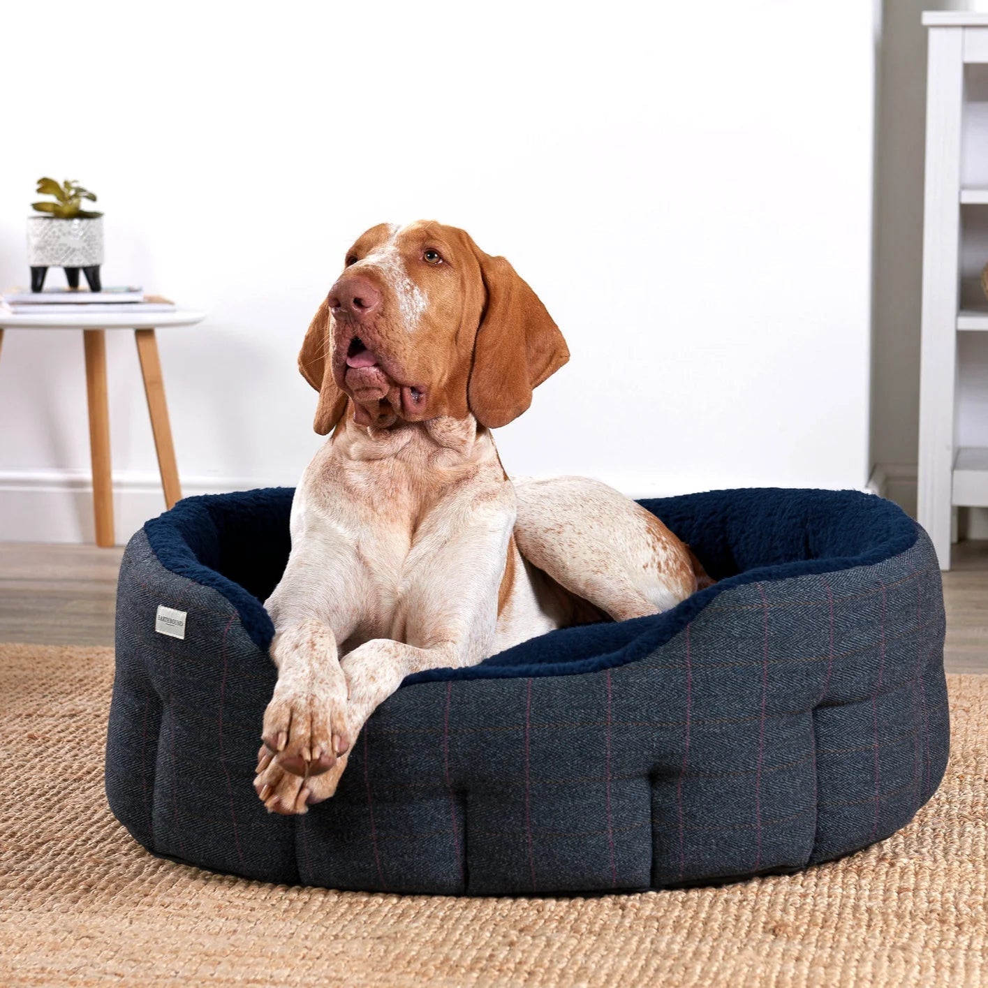 Traditional Tweed Snuggle Dog Beds Made in the UK EARTHBOUND