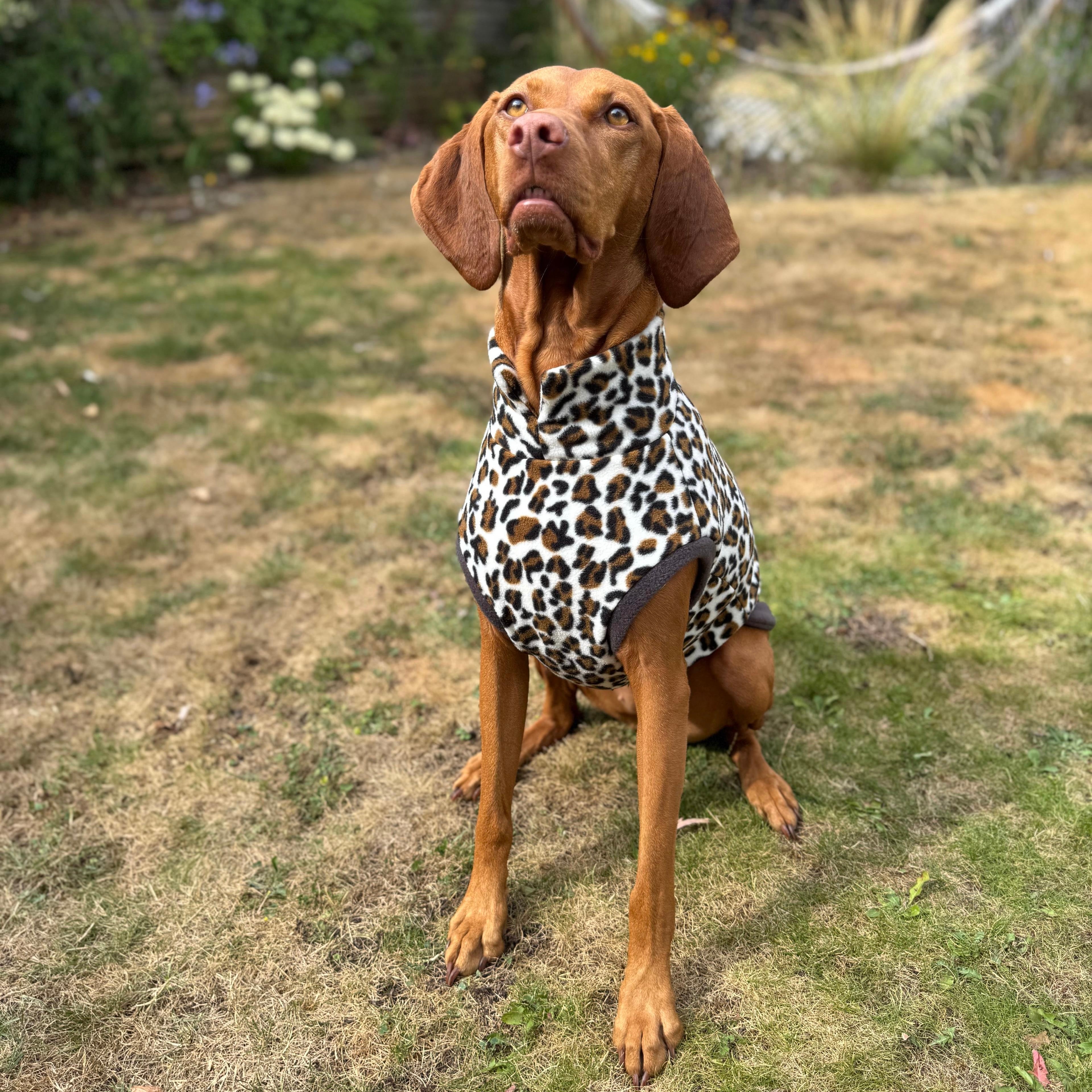 Wild Animal Print Fleece Jumper for Dogs Doghouse Dog Jumpers