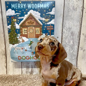 Dog Advent Calendar 