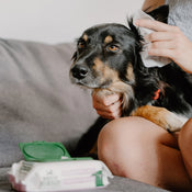 Beco Coconut Scented Ear Wipes