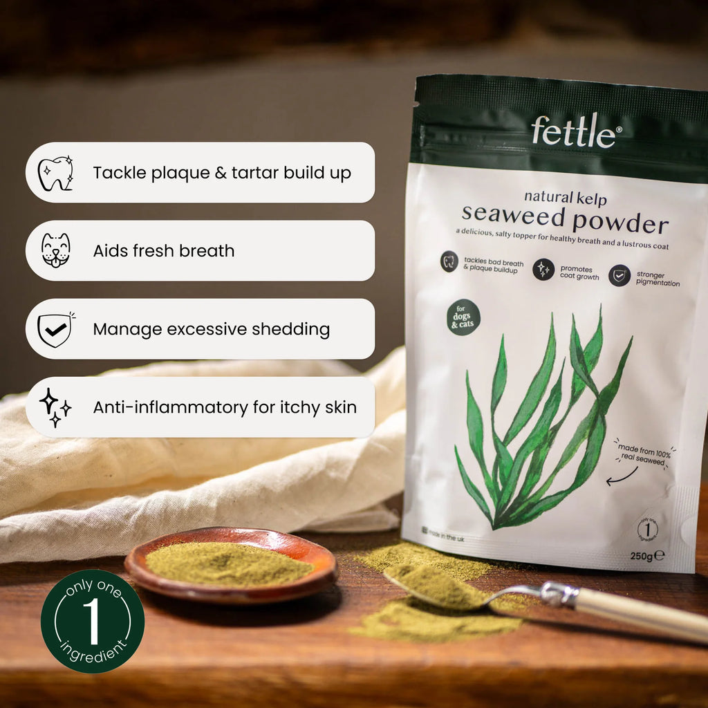 Fettle Scottish Kelp Seaweed Powder for Dogs