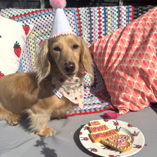 Freya (@freyathedaxie)