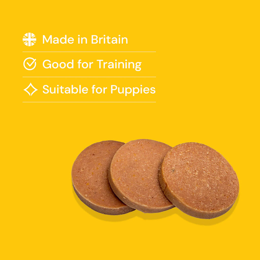 Nutriment Gourmet Pate for Dogs