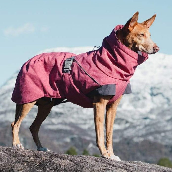 Hurtta Expedition Parka Warm Waterproof Dog Coats Doghouse