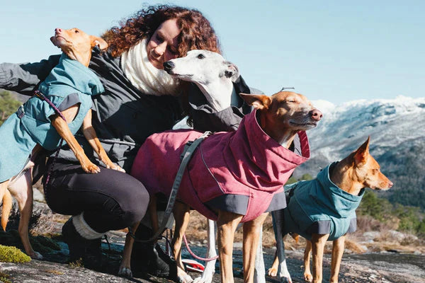 Hurtta expedition best sale dog parka