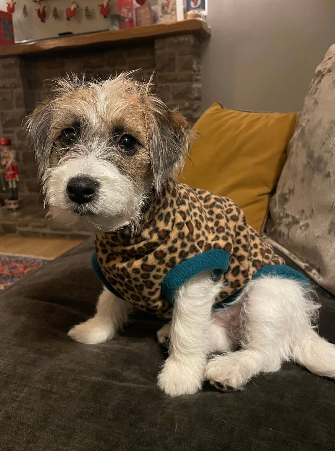 Lady Penelope (@ladypenelope_jrt)