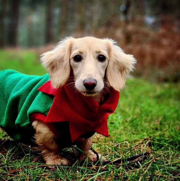 Poppy (@popperonithesausage)