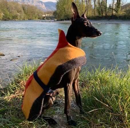 Witney Whippet Rug Coat - DOGHOUSE