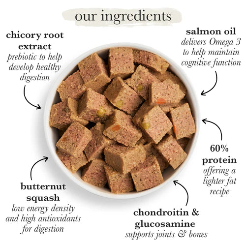 Forthglade Senior Complete Wet Dog Food DOGHOUSE