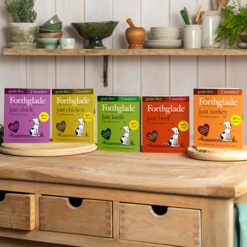 Forthglade Just Dog Wet Dog Food DOGHOUSE