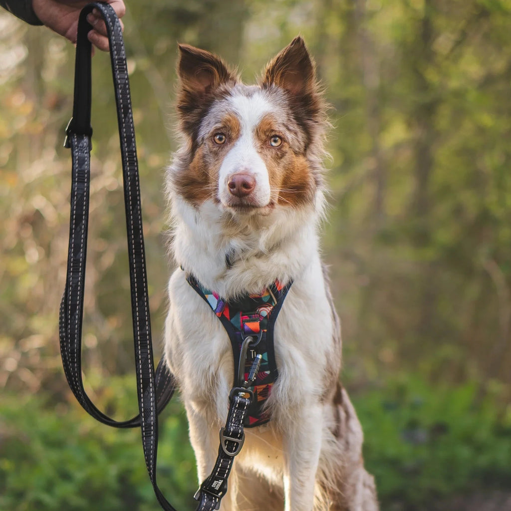 Twiggy Tags TrailFinder Multi-Way Dog Lead