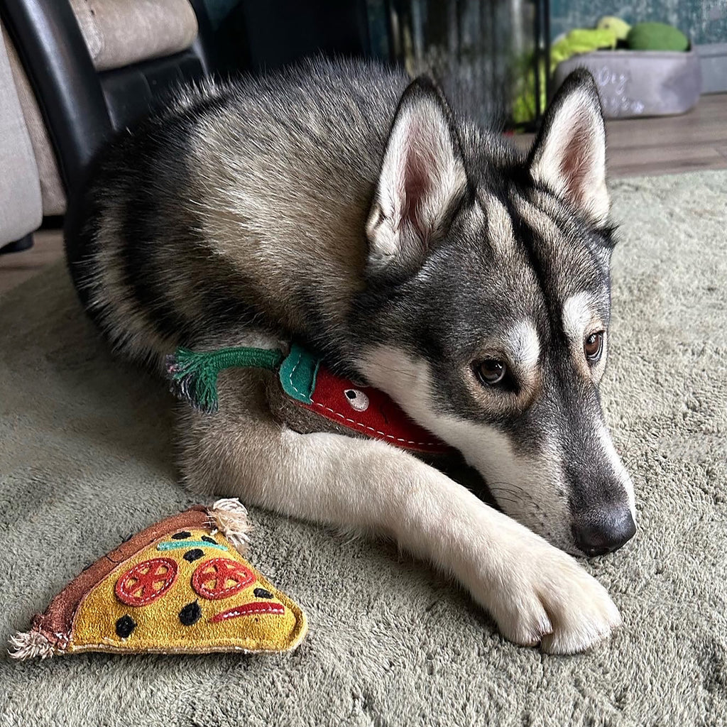 Green & Wilds Pepe Le Pizza Eco Dog Toy