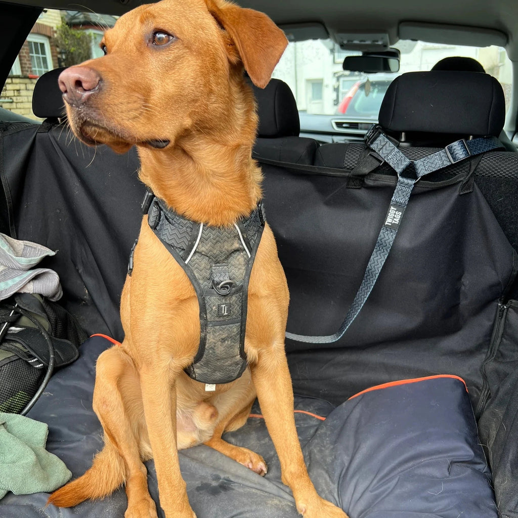 Twiggy Tags Adventure Seatbelt