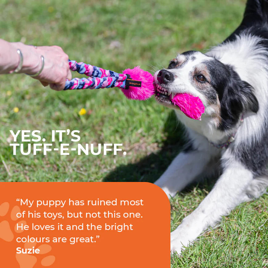 Best tug of war dog toy online