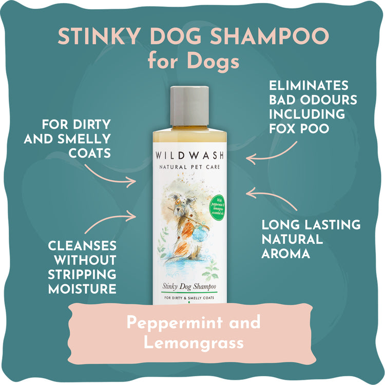WildWash Pet Stinky Dog Shampoo - DOGHOUSE