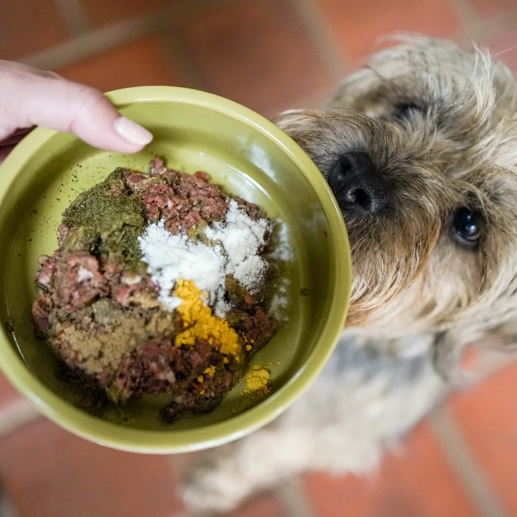 Fettle Powder for Dogs