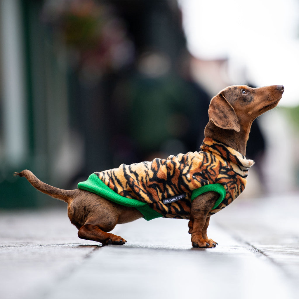 Animal Print Wild Dachshund Jumper