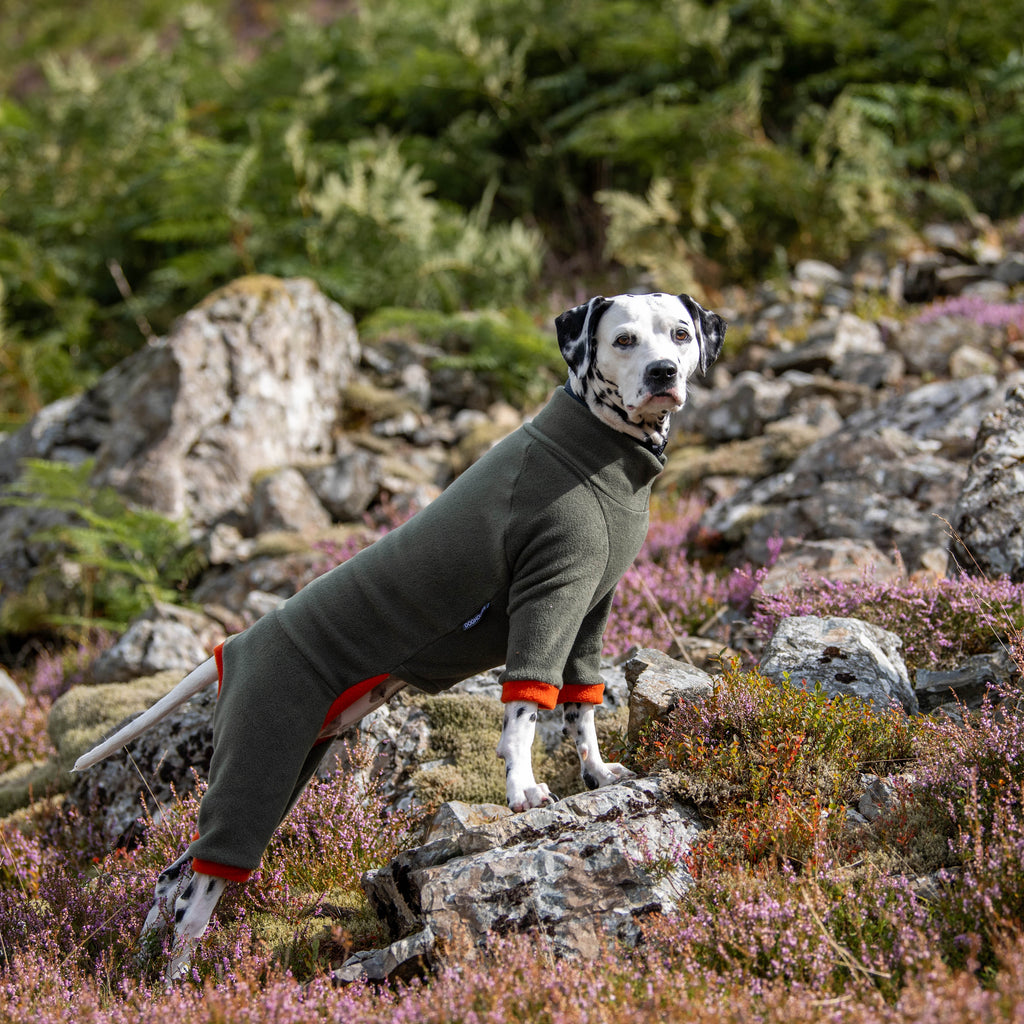 Dog Jumper Waterproof with Legs
