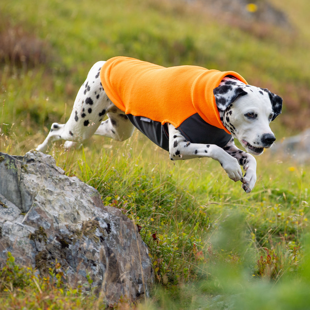 Large Waterproof Dog Jumper Doghouse