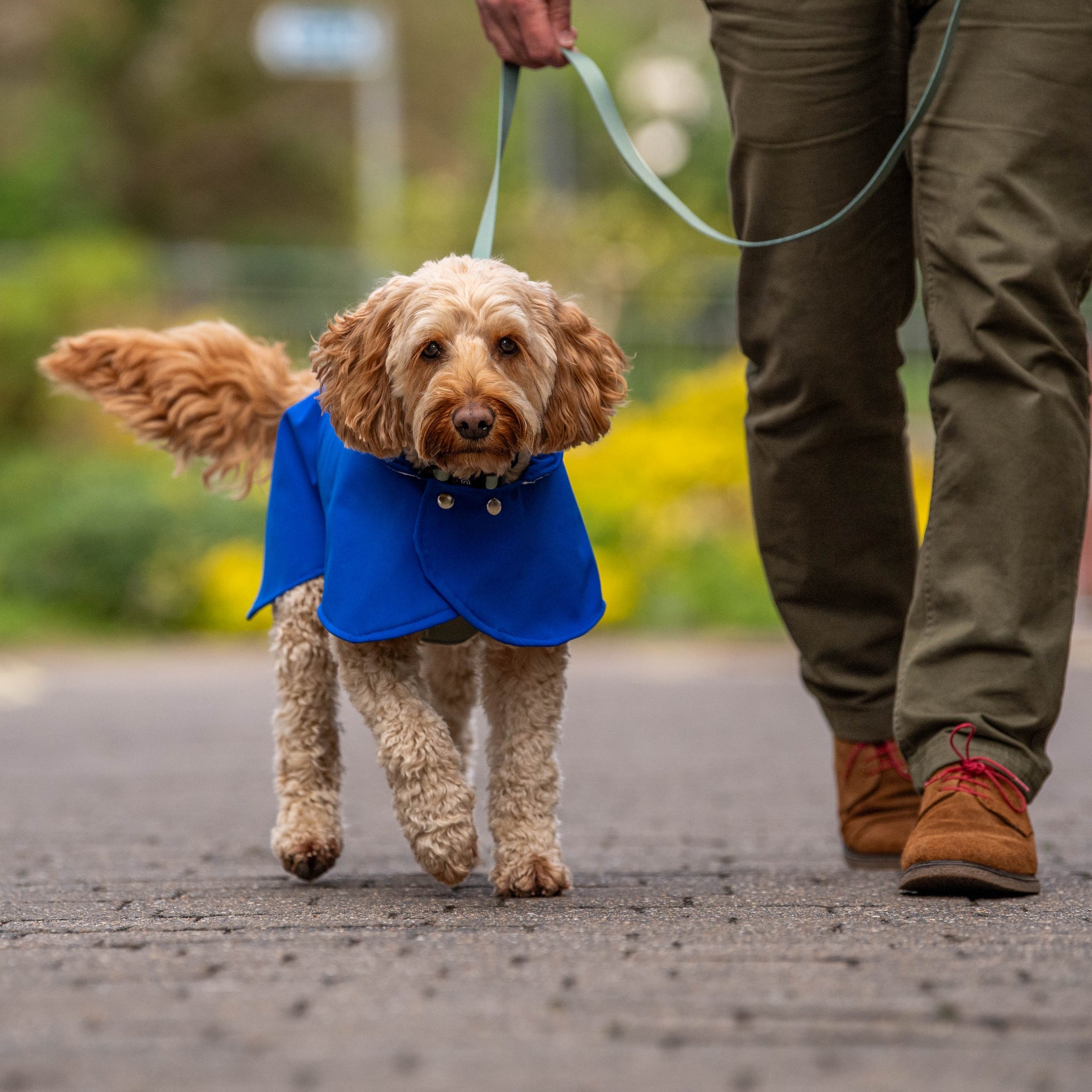 Waterproof Coat Winter Coat For Dog Walking Dog Walking Fleece